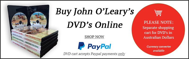 JOHN-DVD