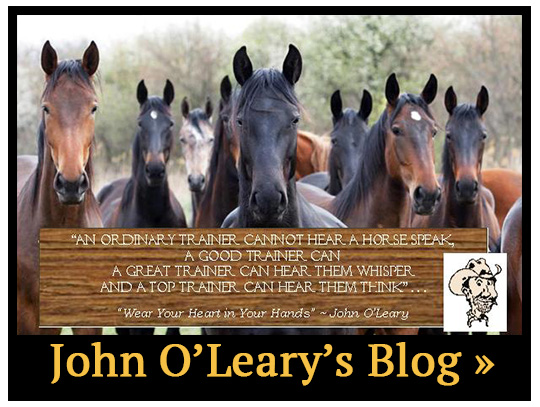 John O'Leary's Blog