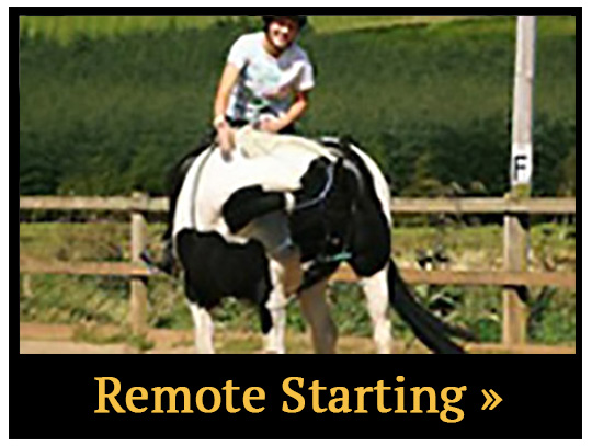 Remote Horse Starting