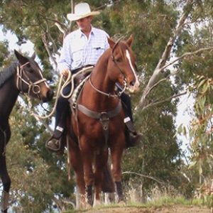 Training DVD's by John O'Leary